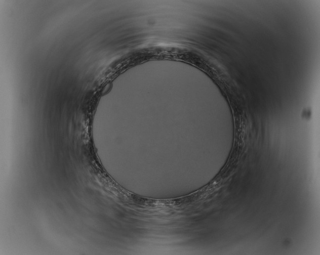 X0000115231013200911201552