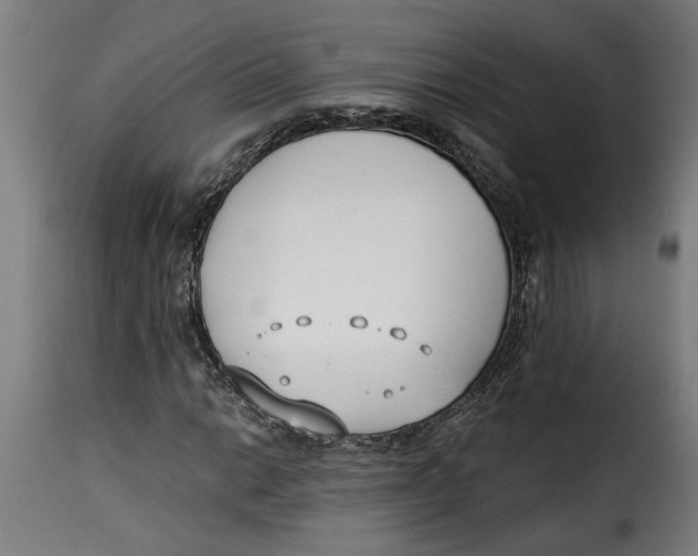 X0000115231014200911201552