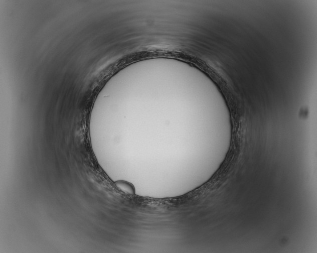 X0000115231015200911201552