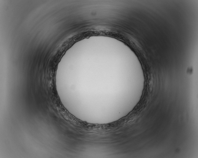 X0000115231016200911201552