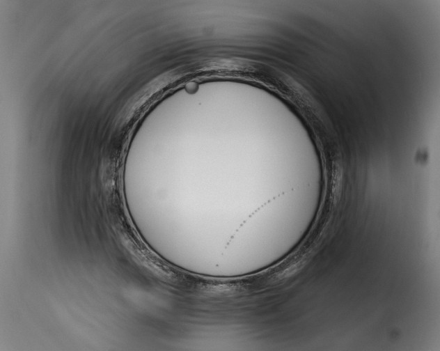 X0000115231017200911201552