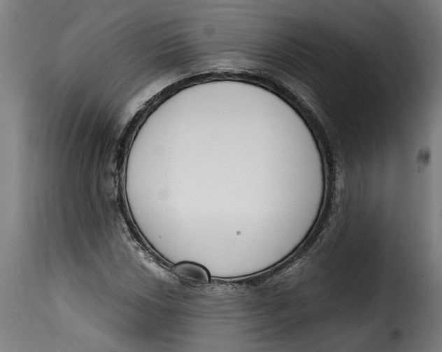 X0000115231018200911201552