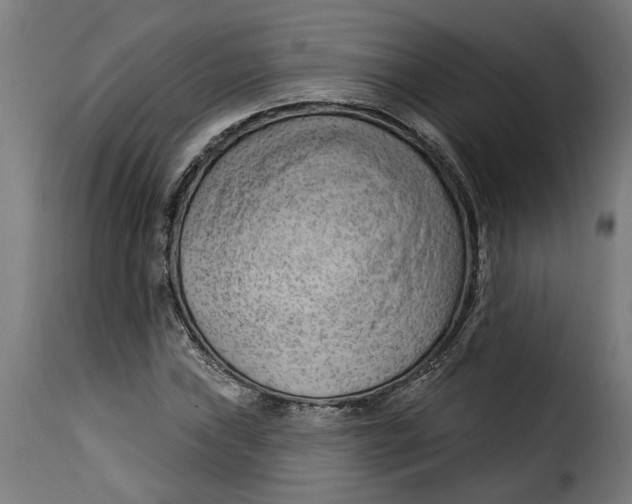 X0000115231019200911201552