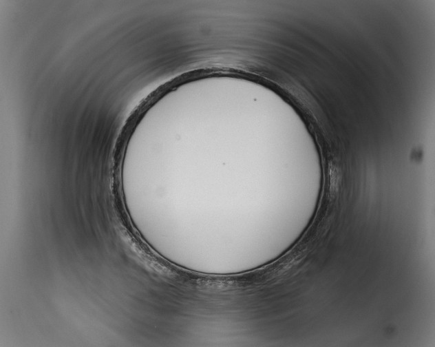 X0000115231020200911201552