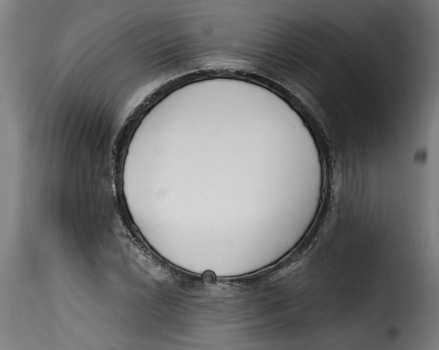 X0000115231022200911201552