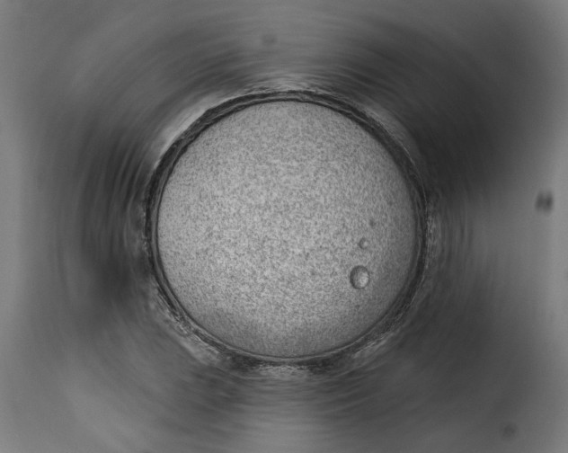 X0000115231023200911201552