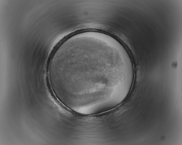 X0000115231024200911201552