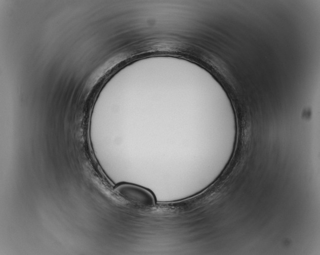 X0000115231026200911201552