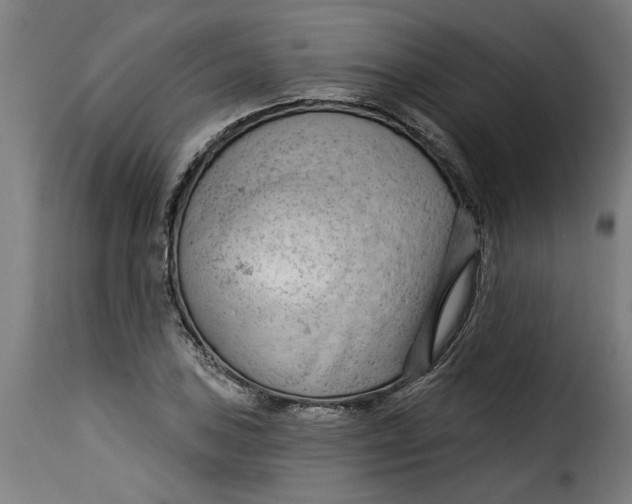 X0000115231027200911201552