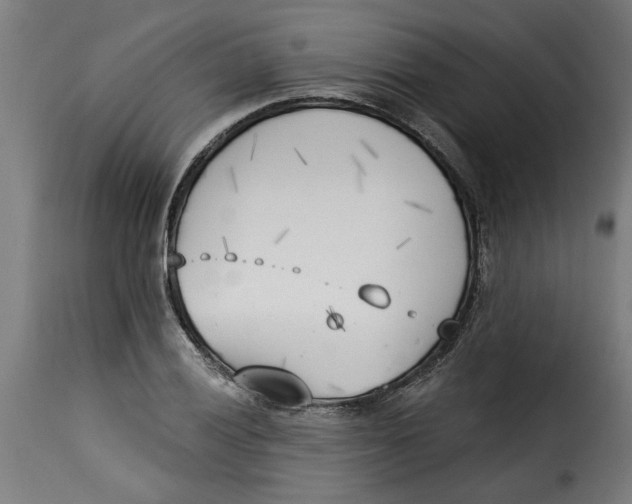 X0000115231028200911201552