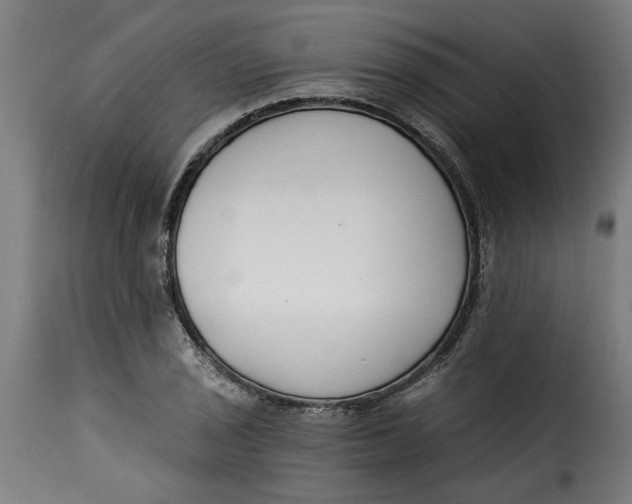 X0000115231029200911201552