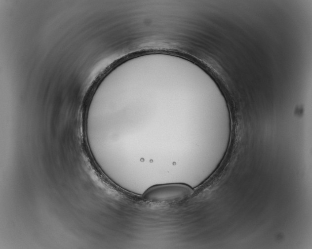 X0000115231030200911201552