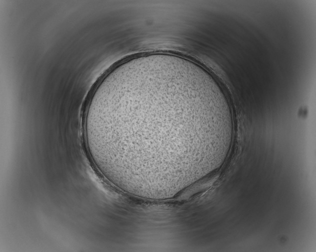 X0000115231031200911201552