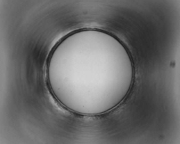 X0000115231032200911201552