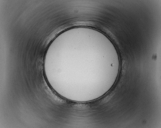 X0000115231033200911201552