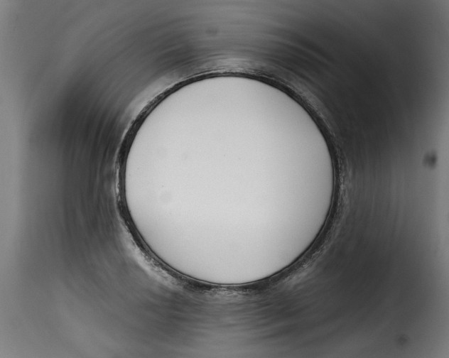 X0000115231034200911201552