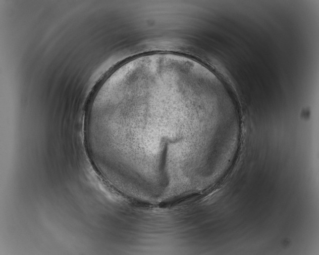 X0000115231035200911201552