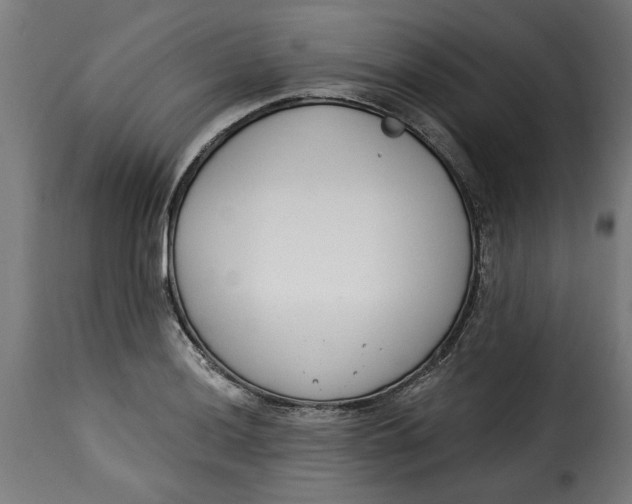 X0000115231036200911201552