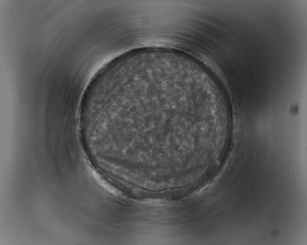 X0000115231037200911201552