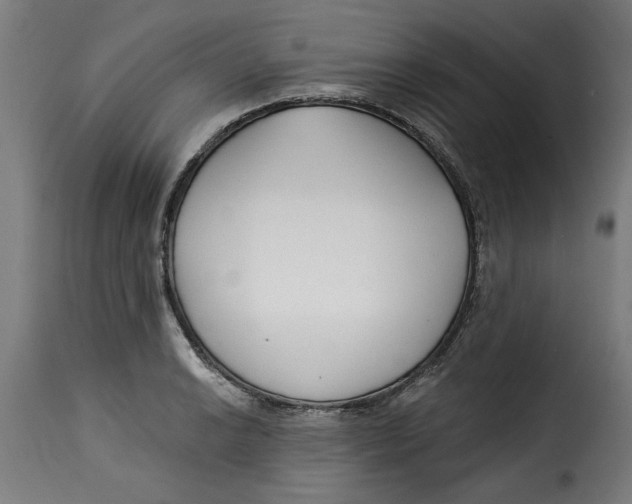 X0000115231038200911201553