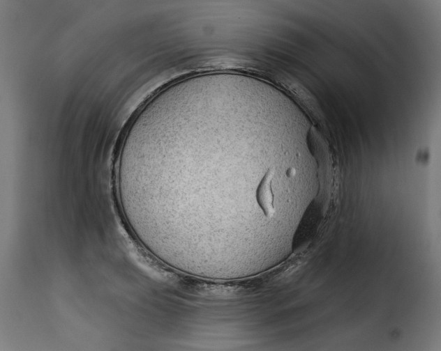 X0000115231039200911201553