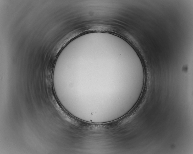 X0000115231041200911201553