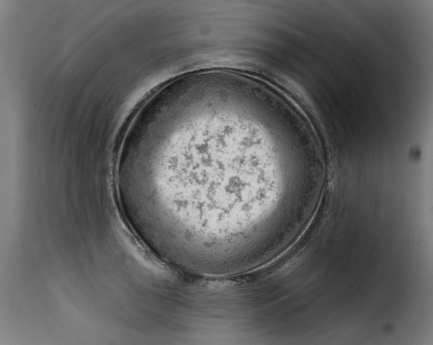 X0000115231043200911201553