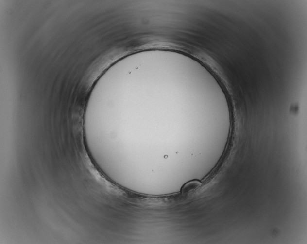 X0000115231049200911201553