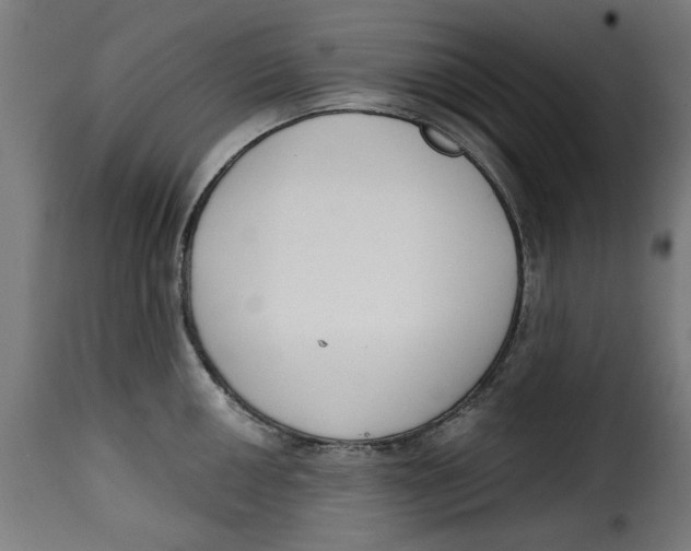 X0000115231050200911201553