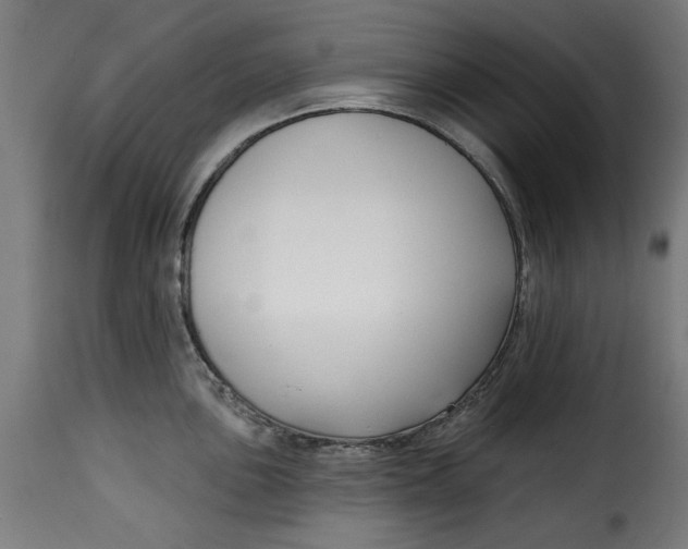 X0000115231051200911201553