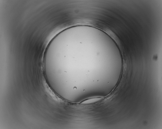 X0000115231052200911201553