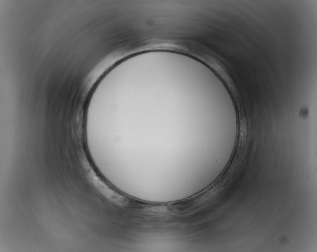 X0000115231054200911201553