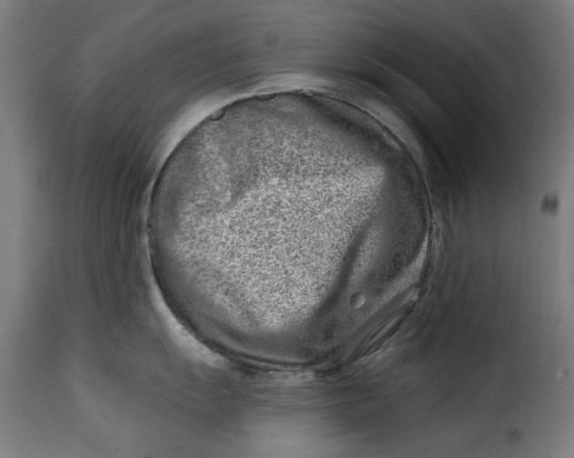 X0000115231055200911201553