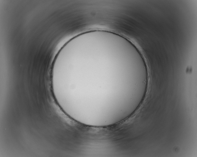 X0000115231056200911201553