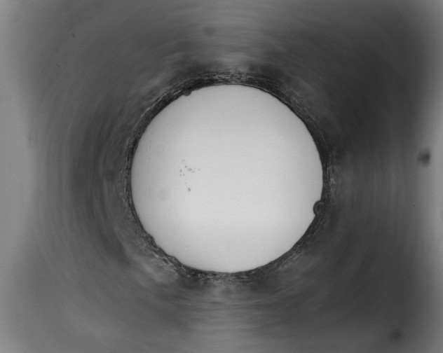 X0000115231057200911201552