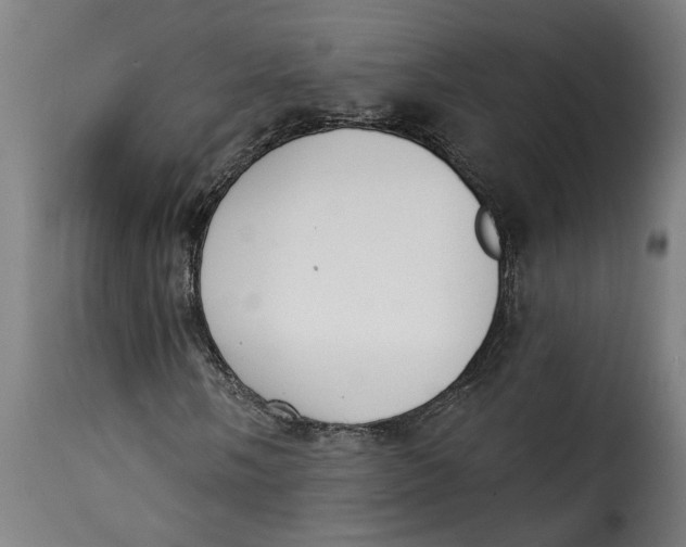 X0000115231058200911201552