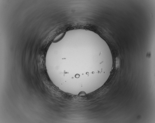 X0000115231059200911201552