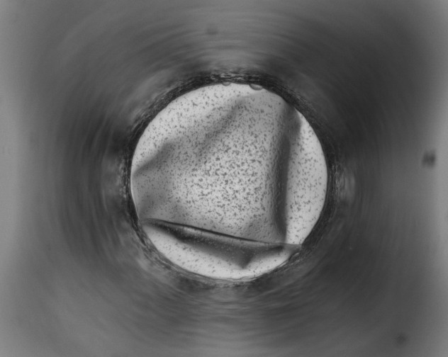 X0000115231060200911201552