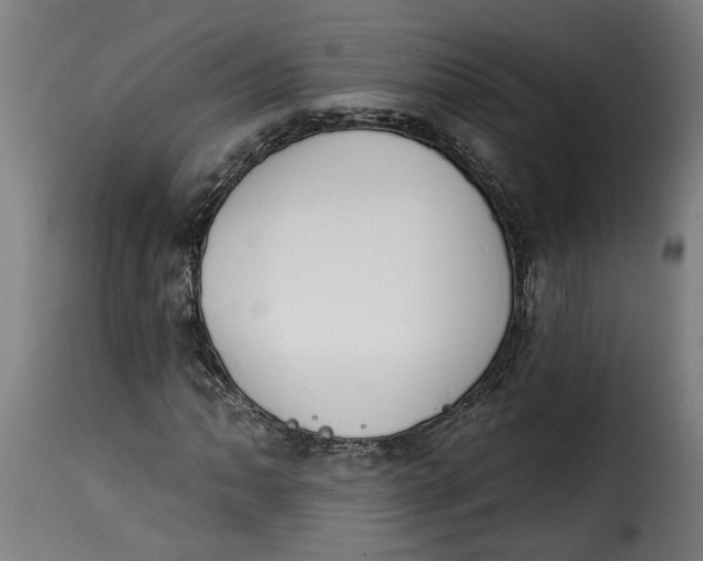 X0000115231062200911201552