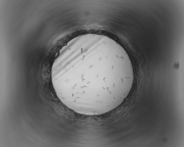 X0000115231063200911201552