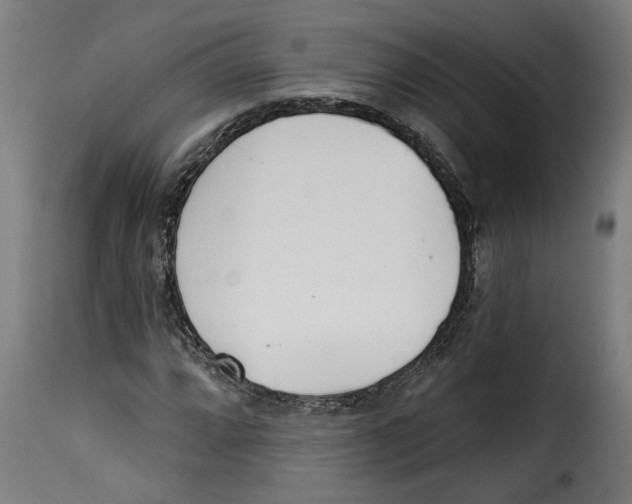 X0000115231064200911201552