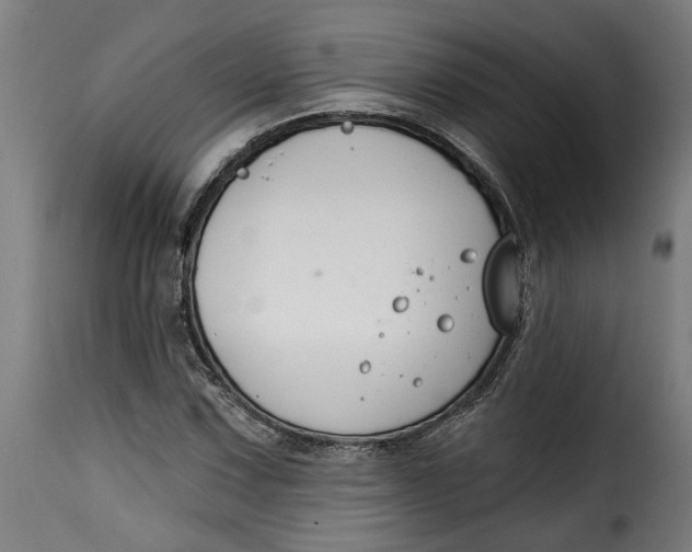 X0000115231067200911201552