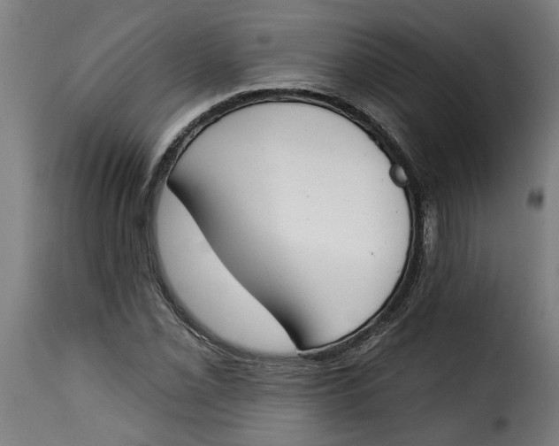 X0000115231069200911201552