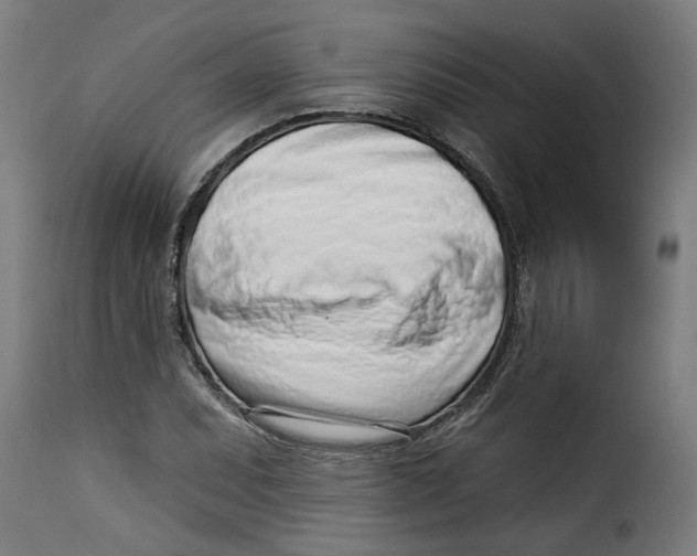 X0000115231071200911201552