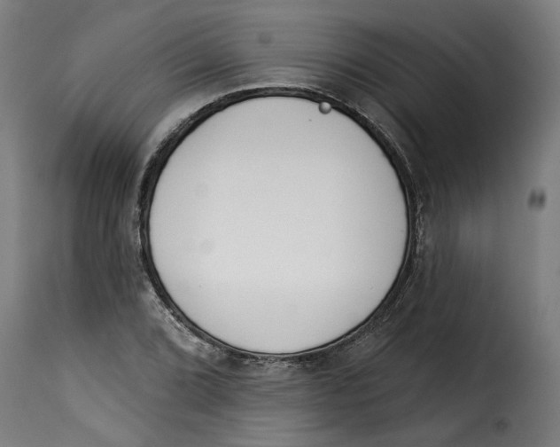 X0000115231072200911201552