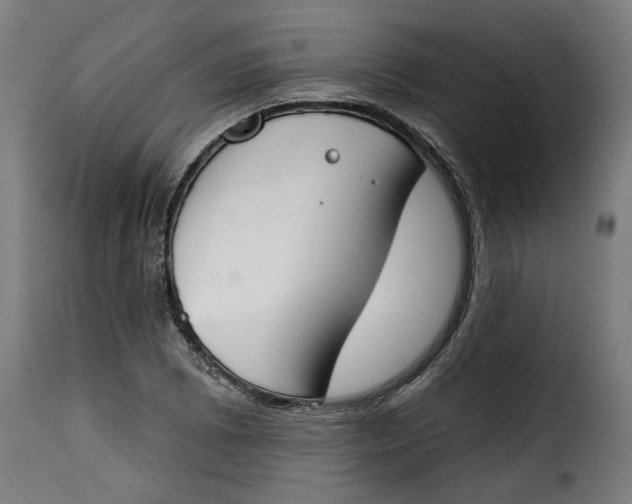 X0000115231073200911201552