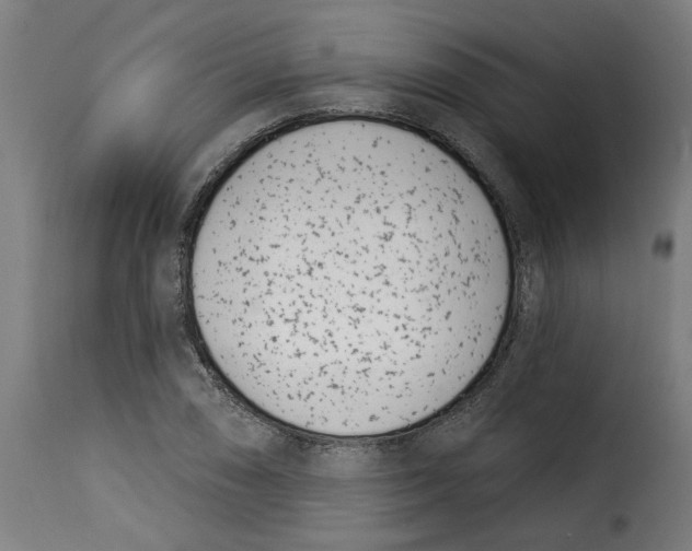 X0000115231074200911201552