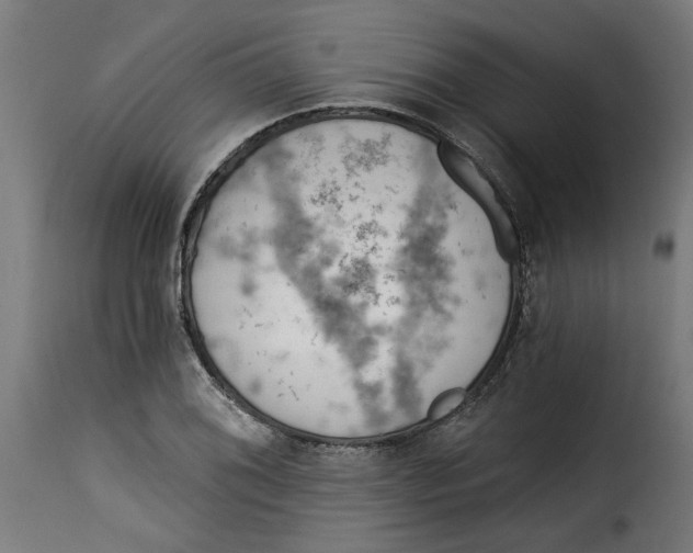 X0000115231076200911201552