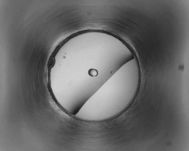 X0000115231080200911201552