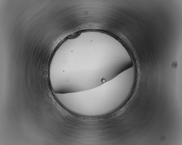 X0000115231081200911201552